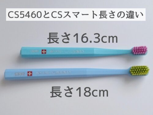 クラプロックスの歯ブラシの長さの違い